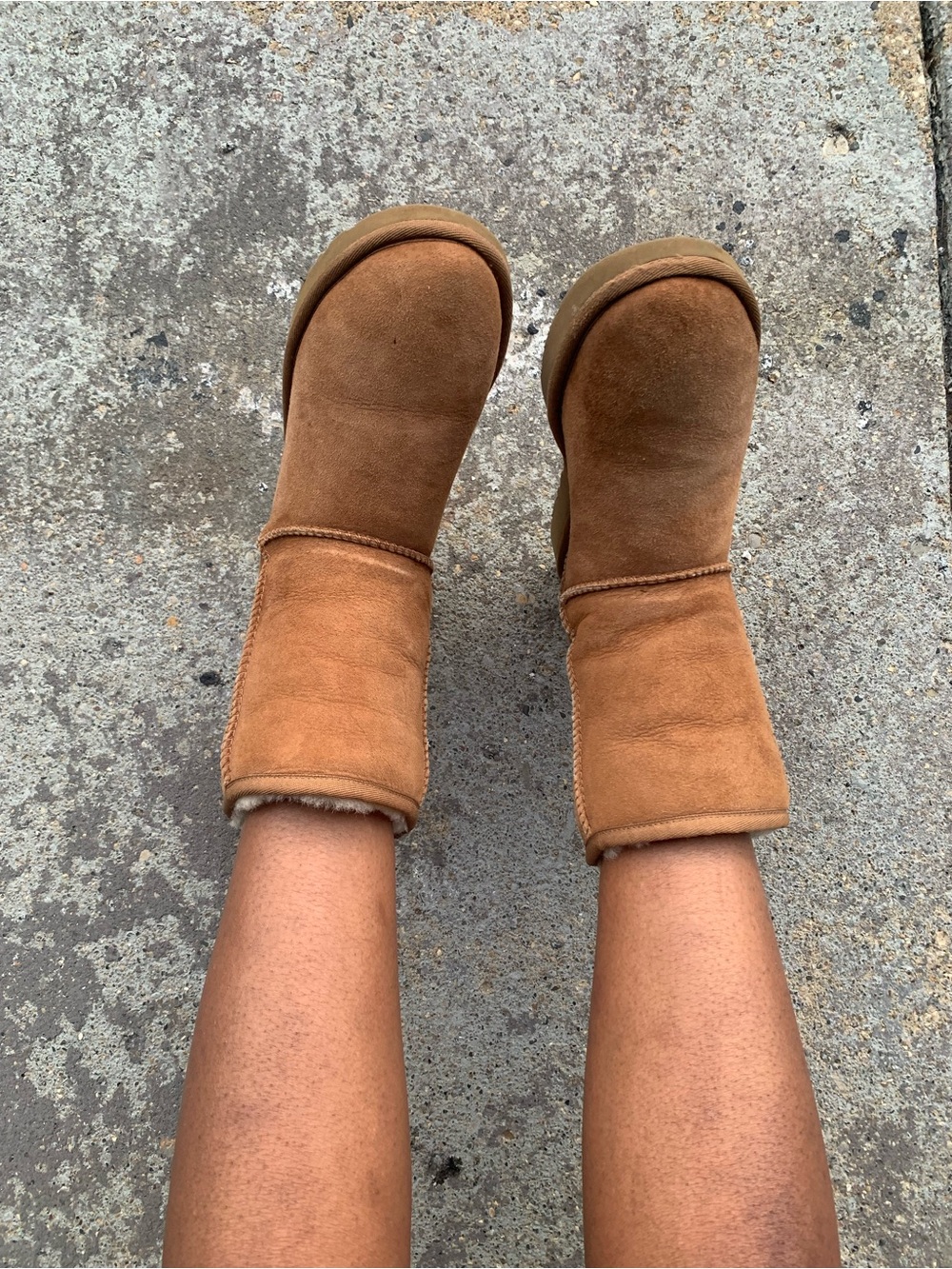 UGG Classic Mini Boots in Chestnut Suede